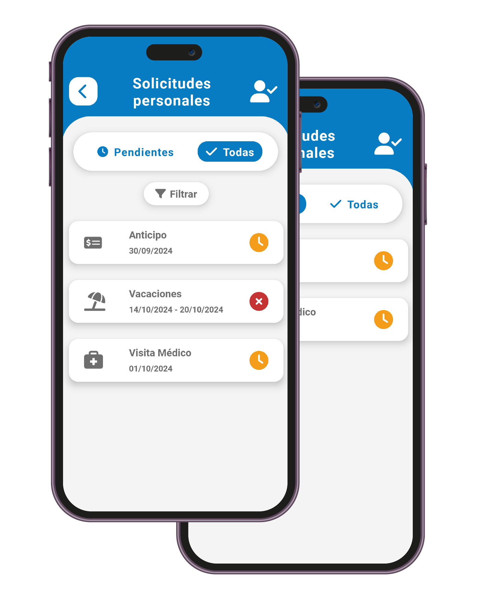 captura Multiempresa myReport!n